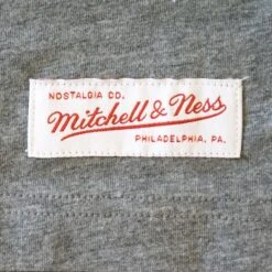 Mitchell & Ness T-shirt Michigan Wolverines March -T shirt Actif Boutique MN NCA INTL737 MICHIG GRY 3