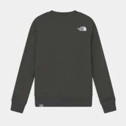 Sweatshirt Enfant The North Face Box -T shirt Actif Boutique NF0A37FY UG3 2