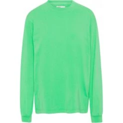 T-shirt Manches Longues Colorful Standard Organic Oversized Spring Green