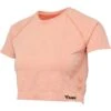 T-shirt Court Sans Couture Femme Hummel CI -T shirt Actif Boutique hummel 219623 4409 0